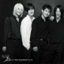더(The)한잔 이미지