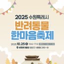 댕댕하개 이미지