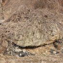 차평2리 이미지