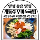 계동2 | 안성 찐맛집 계동 쭈꾸미&amp;국밥 솔직 후기