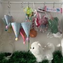 빵긋댕긋 이미지