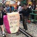 선경로또 이미지