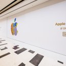 애플통상 이미지