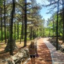 UR(상주시)-[경천로]-상-12 | 남녀노소 산책 하기 좋은 상주 : 경천대 국민관광지, 경천섬 자전거(위치), 학전망대, 상주 축산농협...