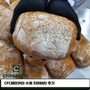 CFC베이커리 수제 치아바타 후기
