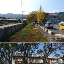 군북면 면사무소 이미지