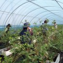 박종훈농장 이미지