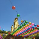 강동로-16 이미지