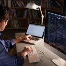 비타민랜드 이미지