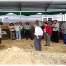 꿈돼지1농장 이미지