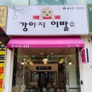 강아지이발소 이미지