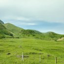 1561 | 일본 후쿠오카 | 아이와 다녀온 아기자기한 거리 / 긴린코호수 / 유느츠보 거리 / 주차 꿀 팁까지:) 유후인