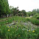 노적봉공원 이미지