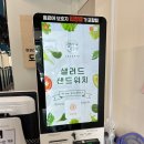 도그와트 이미지