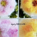 꽃;아름