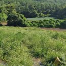 변산농장2 이미지