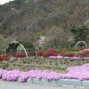 산마루펜션 이미지