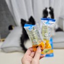 다다덴탈 이미지