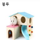 햄스터 다락방 이미지