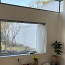 제주 힐링하우스 이미지