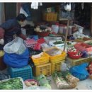 산수유고장
