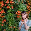 [옥정]스마트폰 인생 사진 촬영하기 | [공지] 스마트폰 사진 강의 사진 잘 찍는 법 그리고 사진작가 되기