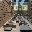 달성화석박물관 이미지