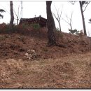 월계공원묘지 이미지