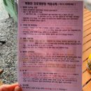 경남 창녕 화왕산 오토캠핑장 개별샤워실 웰컴 선물까지 완벽~