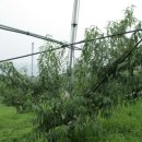 연원농장 이미지