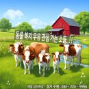정동유업영농조합법인 | 동물 복지 우유 상세 정보 및 구입처