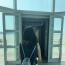 세븐일레븐 속초한라리센점 | [일본:후쿠오카] 부부여행로그🇯🇵✈️ | 한여름 떠나는 즉흥 후쿠오카 어떤데❕