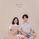 청주 강아지사진 애플주니스튜디오 깡이와 가족사진 후기