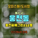 그린 (212) 이미지