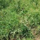 신숭겸장군유적지 이미지