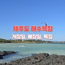 보령해사 행정사무소 | 2025년 제주 해수욕장 개장 안내 - 개장일, 폐장일, 운영시간 및 특징