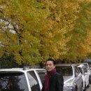 카스타운 이미지