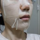 보리베리 이미지