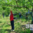 이덕재농장 경북도민일보