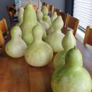 금리마을펜션 이미지