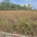 봄봄부동산중개사무소 이미지