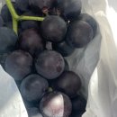 필라테스 지금 이미지