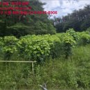 도화1리경로당 이미지