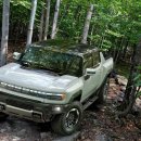 THE MOTORS 이미지