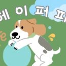 헤이퍼피 이미지