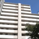 초원대중 이미지