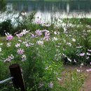 서천공원 이미지