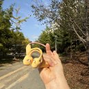 주식회사 벨루가 | 카카오프렌즈 골전도 이어폰 핑크 춘식이 귀가 편해요