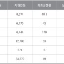 논술 '실질경쟁률'은 보는 경쟁률의 반토막 이미지