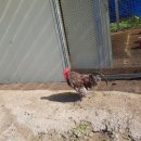 암스트롱요양병원 이미지